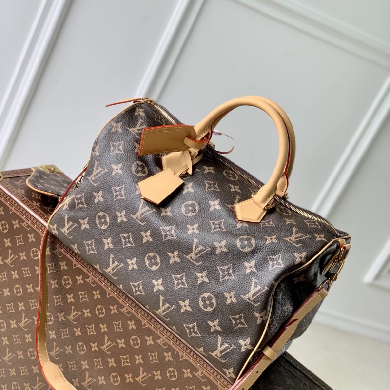 LV Travel Bags
